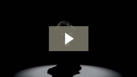 Sterling Black Panther Snips